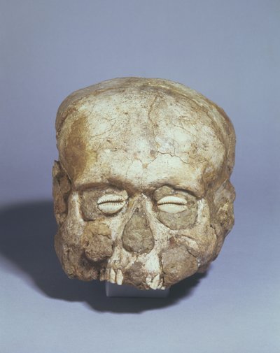 Portrait skull with cowrie shell eyes, Jericho by Neolithic